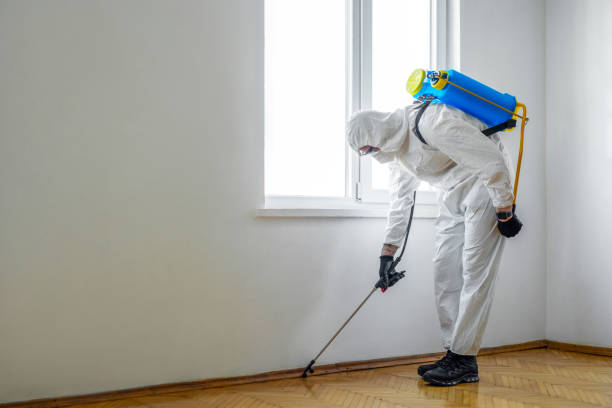 Best Residential Pest Control  in Somerset, OH