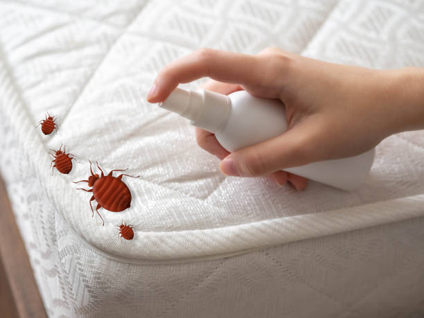 Best Affordable Pest Control Services  in Somerset, OH